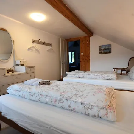 Mountain Views * インターラーケン