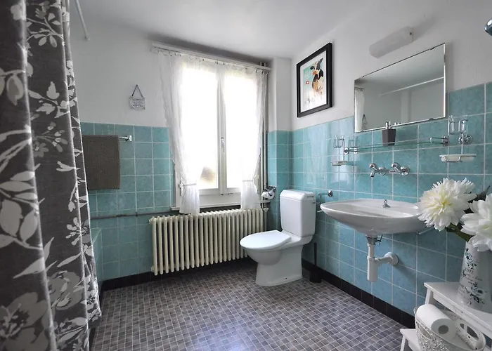 마운틴 뷰 인터라켄